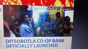 Ditsobotla Primary Savings and Credit Co-operative Bank