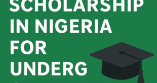 Scholarship In Nigeria For Undergraduate