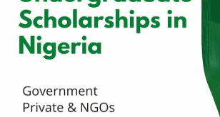 Steps to Secure a Scholarship in Nigeria as an Undergraduate